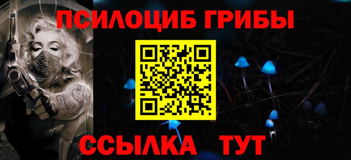 Ржев  Галлюциногенные грибы Psilocybe  Галлюциногенные грибы Psilocybine cubensis  Вход с VPN 
