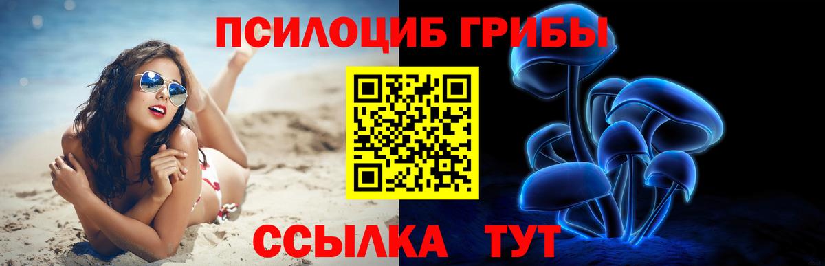 Псилоцибиновые грибы Psilocybe Ржев